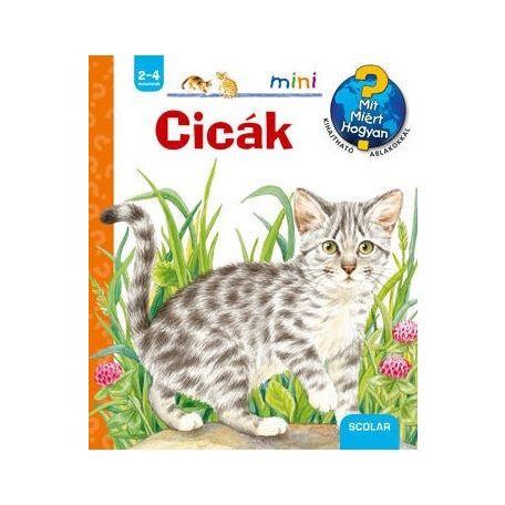 Cicák