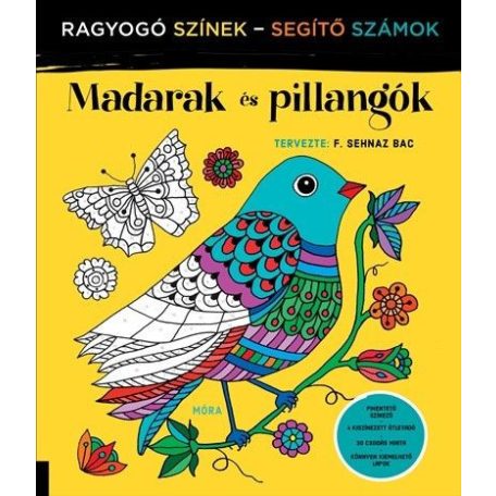 Madarak és pillangók - Ragyogó Színek - Segítő Számok