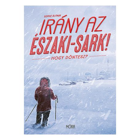 Irány az Északi-sark! Hogy döntesz?