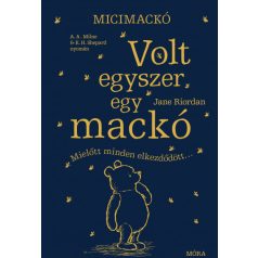 Micimackó - Volt egyszer egy mackó