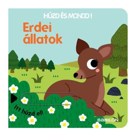 Húzd és mondd! 10. - Erdei állatok