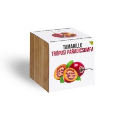   Tamarillo - Trópusi paradicsomfa - növényem fa kockában, Tamarillo - Trópusi paradicsomfa - növényem fa kockában